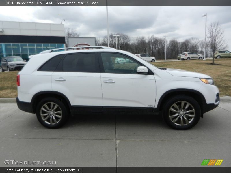 Snow White Pearl / Black 2011 Kia Sorento EX V6 AWD