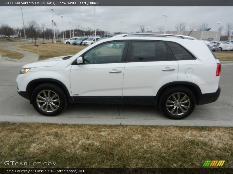 Snow White Pearl / Black 2011 Kia Sorento EX V6 AWD