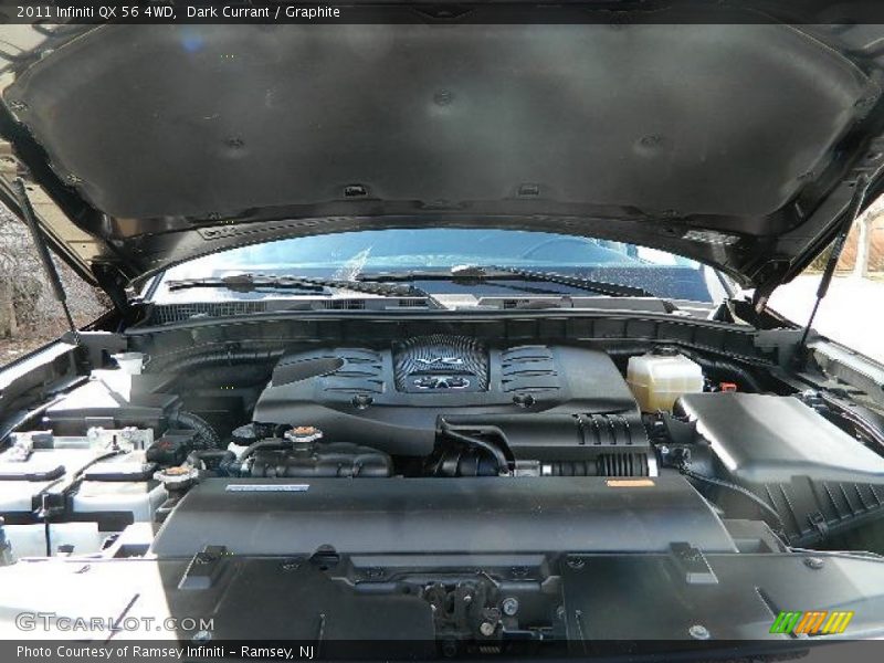 Dark Currant / Graphite 2011 Infiniti QX 56 4WD