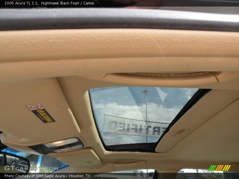 Nighthawk Black Pearl / Camel 2005 Acura TL 3.2