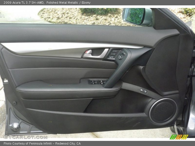 Door Panel of 2009 TL 3.7 SH-AWD