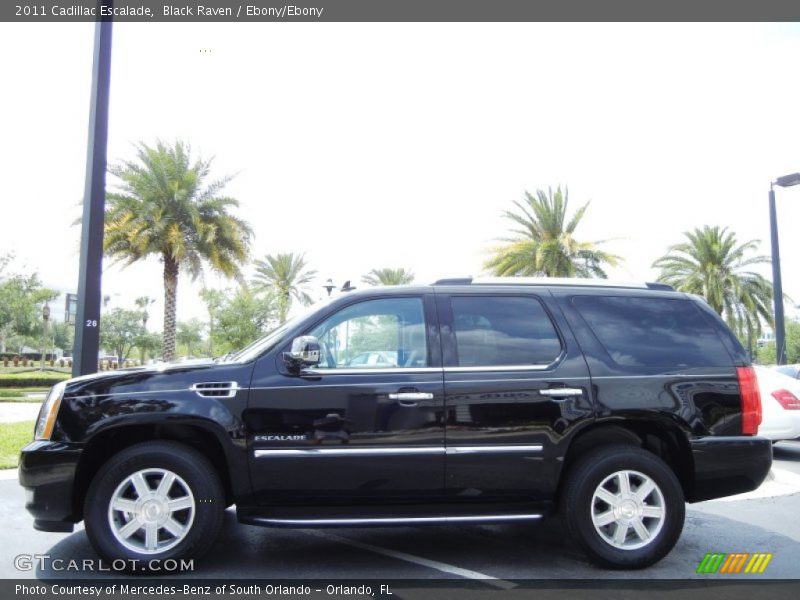 Black Raven / Ebony/Ebony 2011 Cadillac Escalade