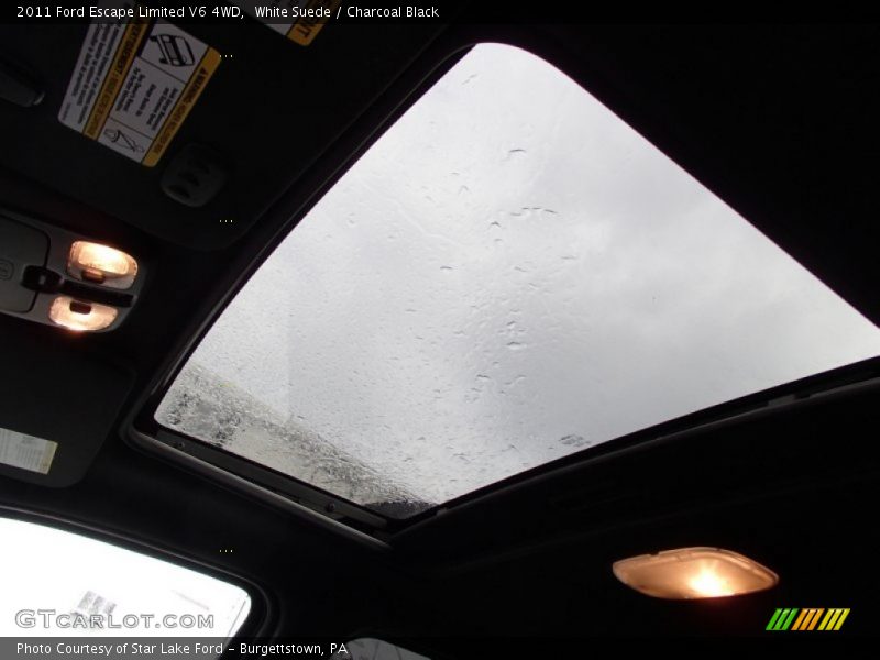 White Suede / Charcoal Black 2011 Ford Escape Limited V6 4WD