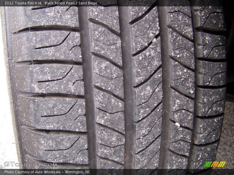Black Forest Pearl / Sand Beige 2012 Toyota RAV4 I4