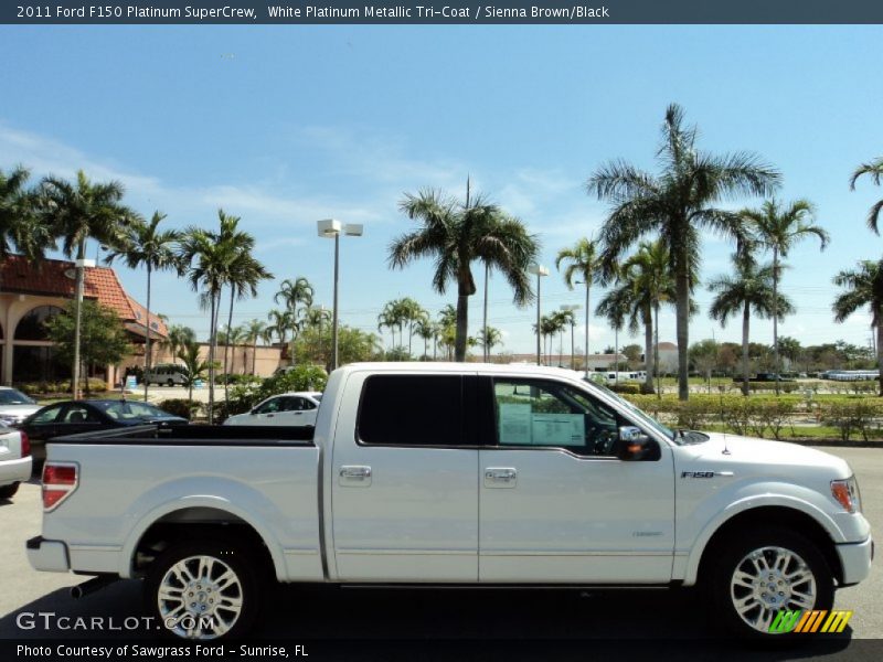 White Platinum Metallic Tri-Coat / Sienna Brown/Black 2011 Ford F150 Platinum SuperCrew