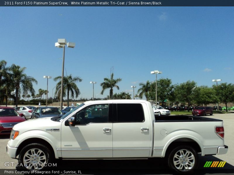 White Platinum Metallic Tri-Coat / Sienna Brown/Black 2011 Ford F150 Platinum SuperCrew