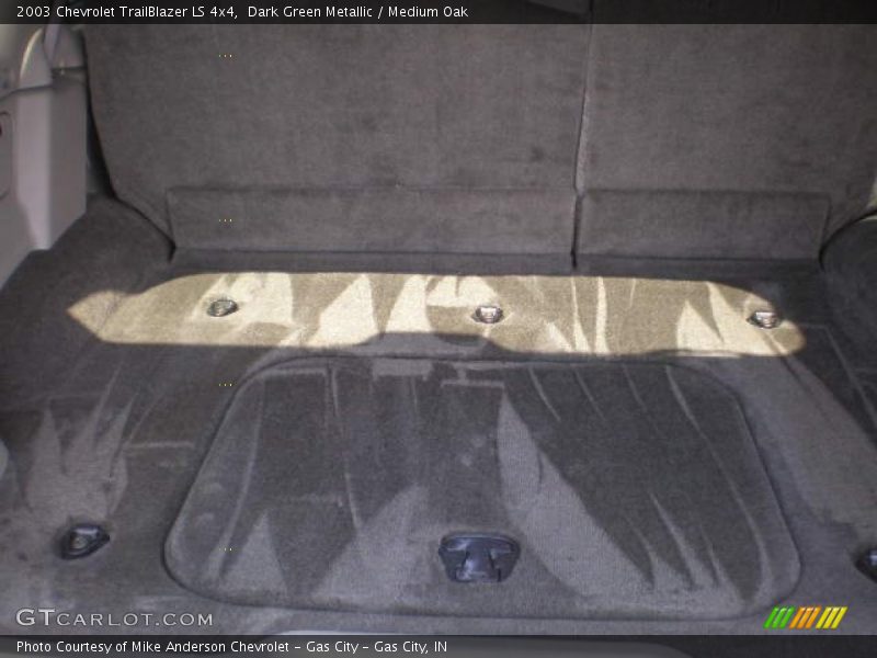 Dark Green Metallic / Medium Oak 2003 Chevrolet TrailBlazer LS 4x4