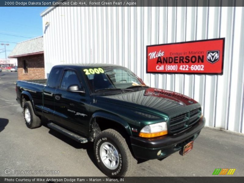 Forest Green Pearl / Agate 2000 Dodge Dakota Sport Extended Cab 4x4