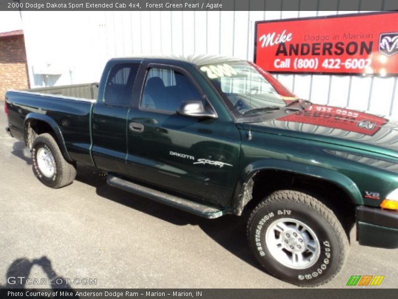 Forest Green Pearl / Agate 2000 Dodge Dakota Sport Extended Cab 4x4