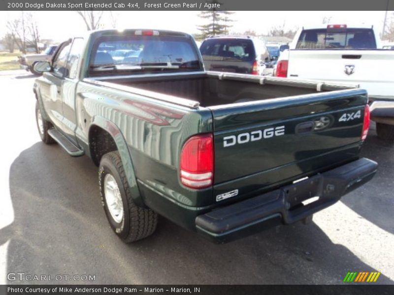 Forest Green Pearl / Agate 2000 Dodge Dakota Sport Extended Cab 4x4