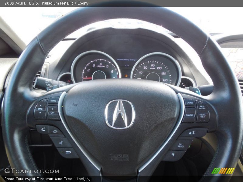Palladium Metallic / Ebony 2009 Acura TL 3.5