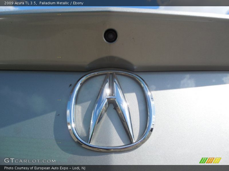 Palladium Metallic / Ebony 2009 Acura TL 3.5