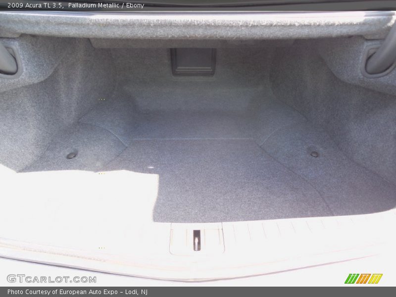 Palladium Metallic / Ebony 2009 Acura TL 3.5