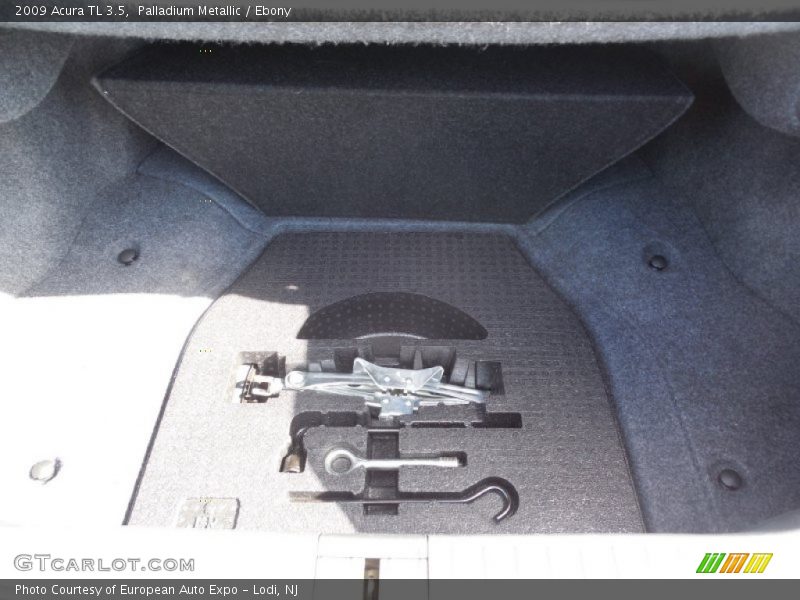 Palladium Metallic / Ebony 2009 Acura TL 3.5