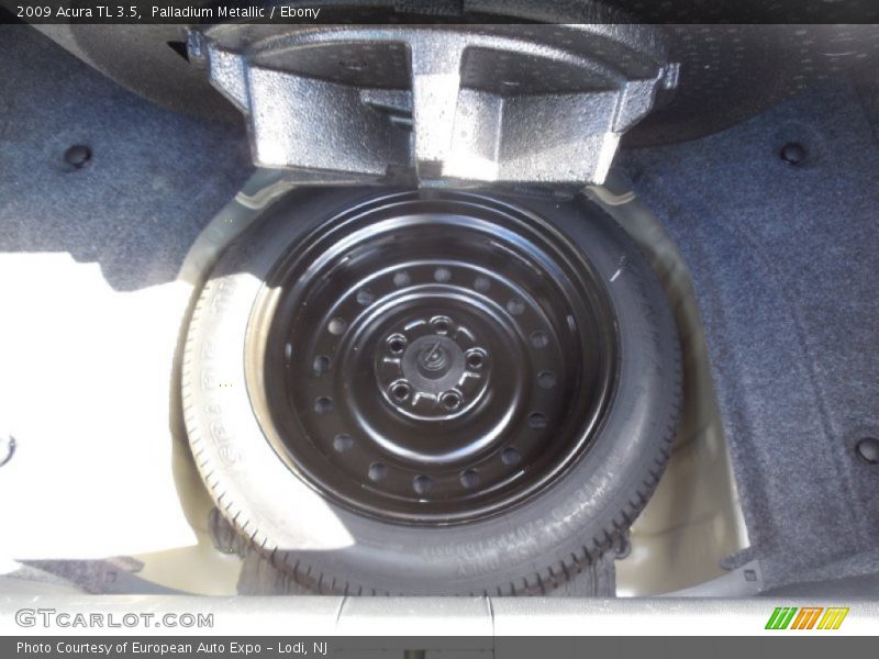 Palladium Metallic / Ebony 2009 Acura TL 3.5