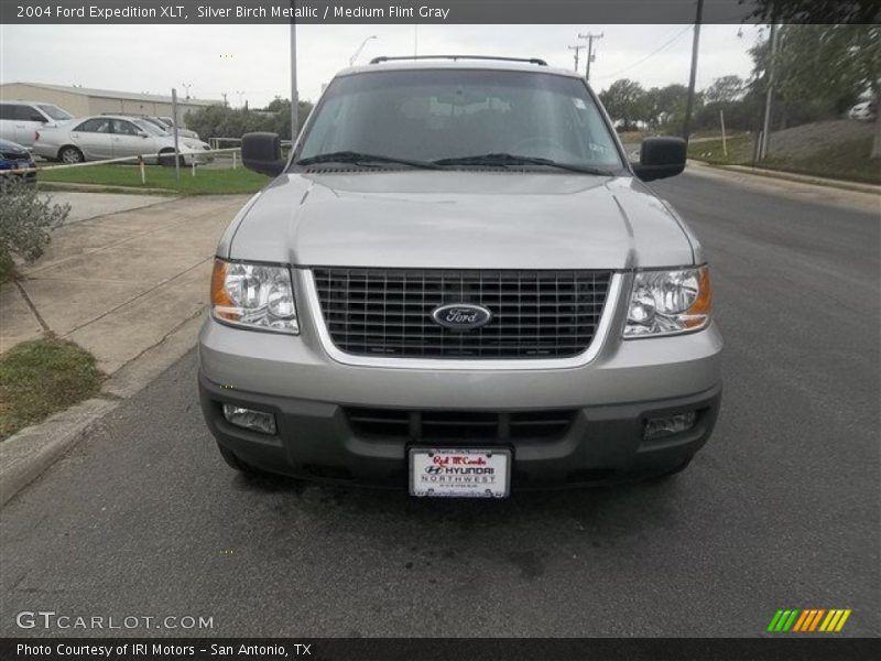 Silver Birch Metallic / Medium Flint Gray 2004 Ford Expedition XLT