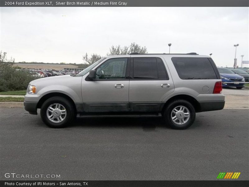Silver Birch Metallic / Medium Flint Gray 2004 Ford Expedition XLT