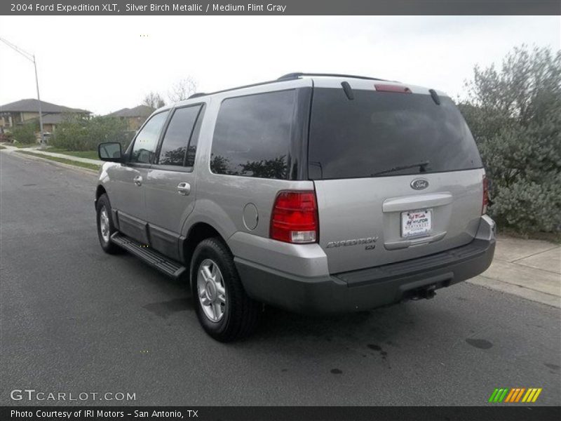 Silver Birch Metallic / Medium Flint Gray 2004 Ford Expedition XLT