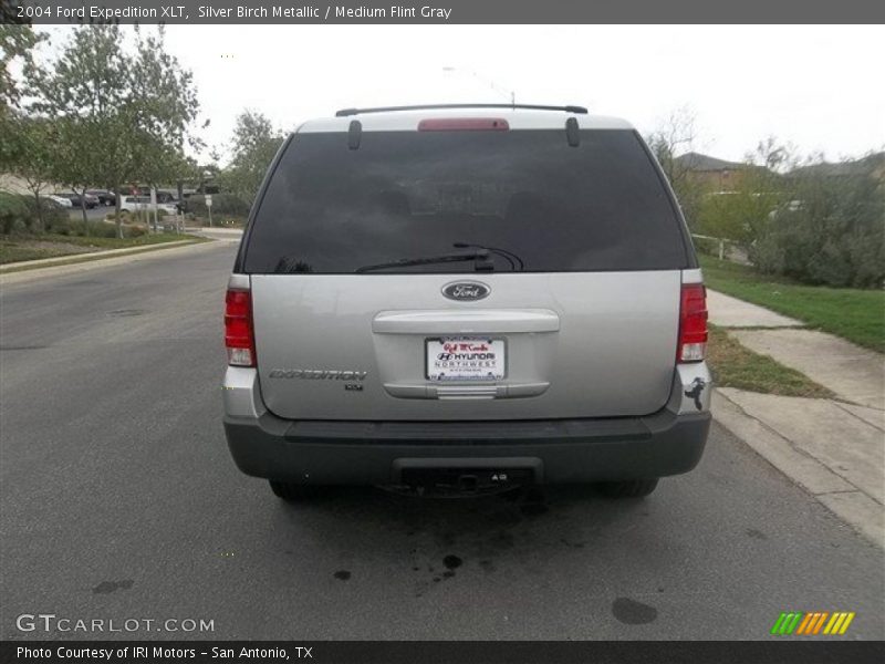 Silver Birch Metallic / Medium Flint Gray 2004 Ford Expedition XLT