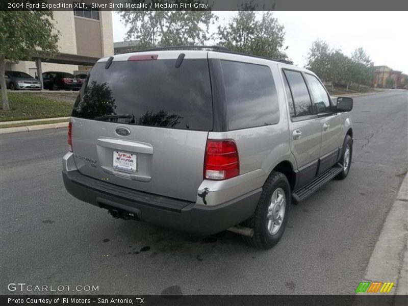 Silver Birch Metallic / Medium Flint Gray 2004 Ford Expedition XLT