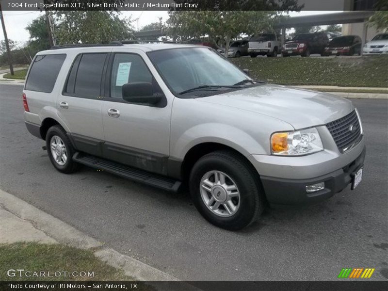 Silver Birch Metallic / Medium Flint Gray 2004 Ford Expedition XLT