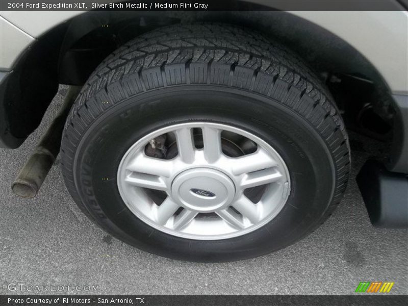 Silver Birch Metallic / Medium Flint Gray 2004 Ford Expedition XLT