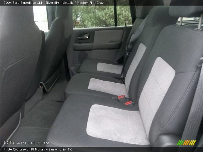 Silver Birch Metallic / Medium Flint Gray 2004 Ford Expedition XLT