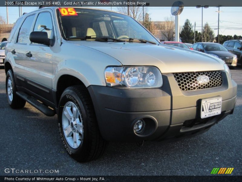 Gold Ash Metallic / Medium/Dark Pebble Beige 2005 Ford Escape XLT V6 4WD