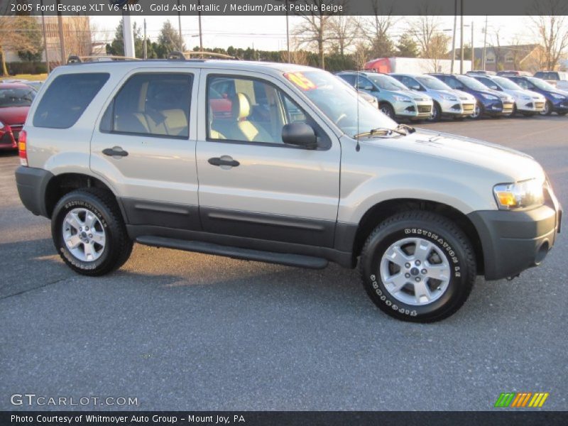 Gold Ash Metallic / Medium/Dark Pebble Beige 2005 Ford Escape XLT V6 4WD