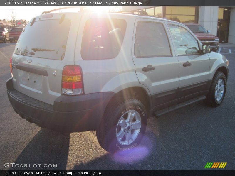 Gold Ash Metallic / Medium/Dark Pebble Beige 2005 Ford Escape XLT V6 4WD