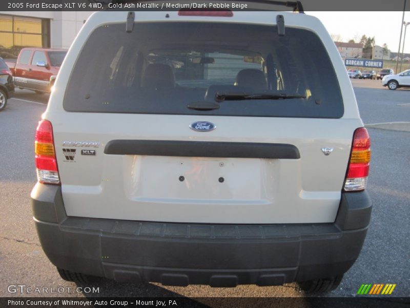 Gold Ash Metallic / Medium/Dark Pebble Beige 2005 Ford Escape XLT V6 4WD