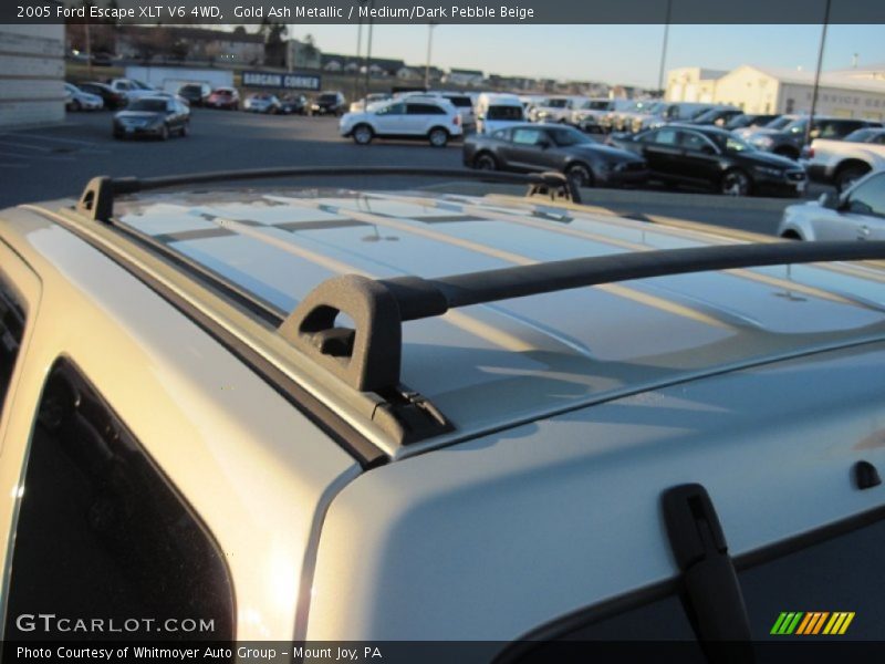 Gold Ash Metallic / Medium/Dark Pebble Beige 2005 Ford Escape XLT V6 4WD