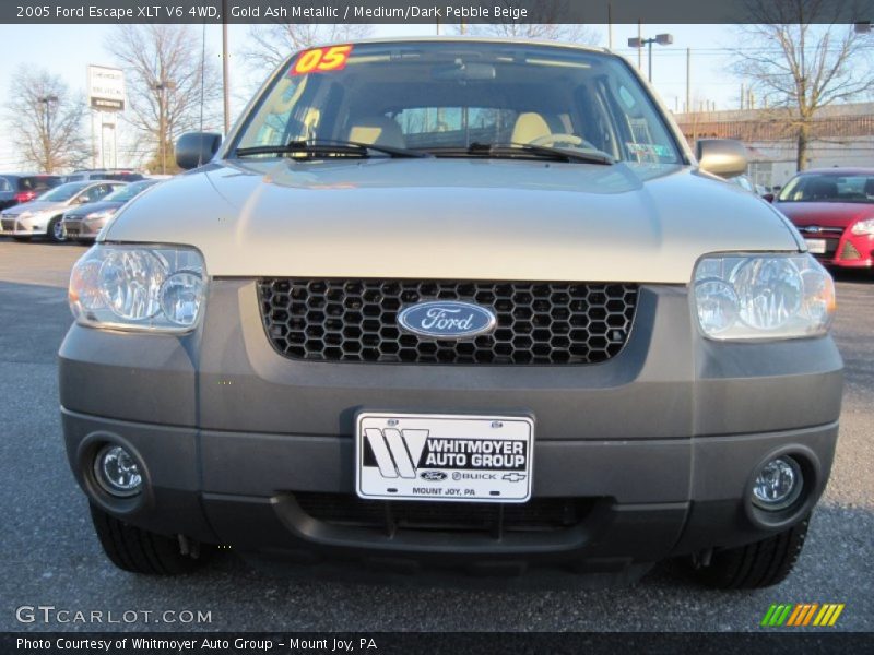 Gold Ash Metallic / Medium/Dark Pebble Beige 2005 Ford Escape XLT V6 4WD