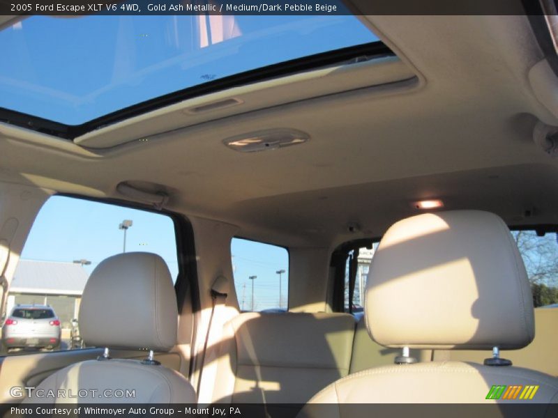 Gold Ash Metallic / Medium/Dark Pebble Beige 2005 Ford Escape XLT V6 4WD