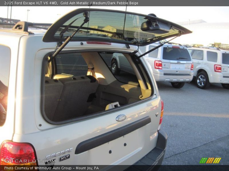Gold Ash Metallic / Medium/Dark Pebble Beige 2005 Ford Escape XLT V6 4WD