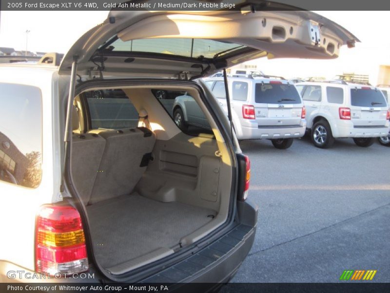 Gold Ash Metallic / Medium/Dark Pebble Beige 2005 Ford Escape XLT V6 4WD