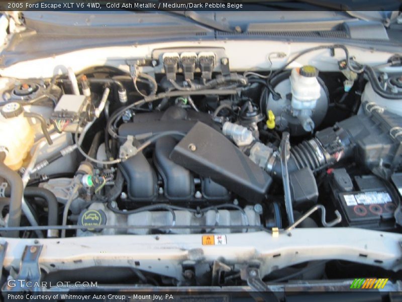 Gold Ash Metallic / Medium/Dark Pebble Beige 2005 Ford Escape XLT V6 4WD