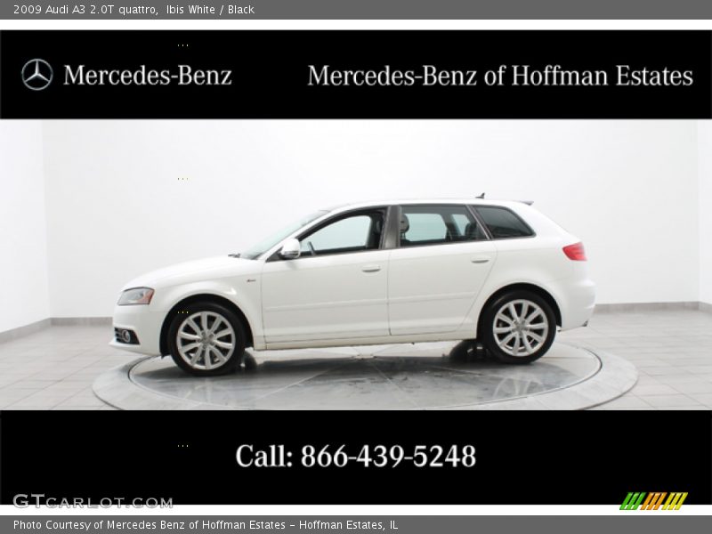 Ibis White / Black 2009 Audi A3 2.0T quattro