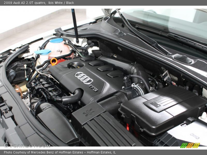 Ibis White / Black 2009 Audi A3 2.0T quattro