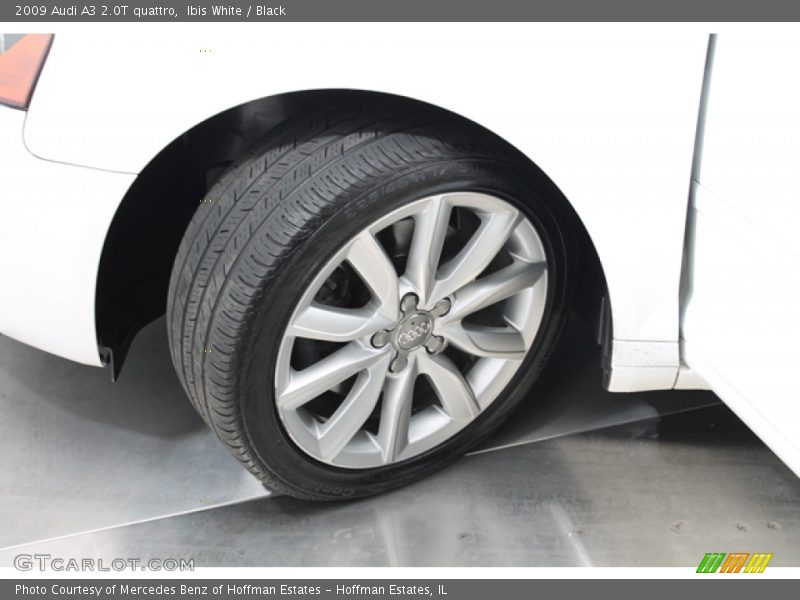 Ibis White / Black 2009 Audi A3 2.0T quattro
