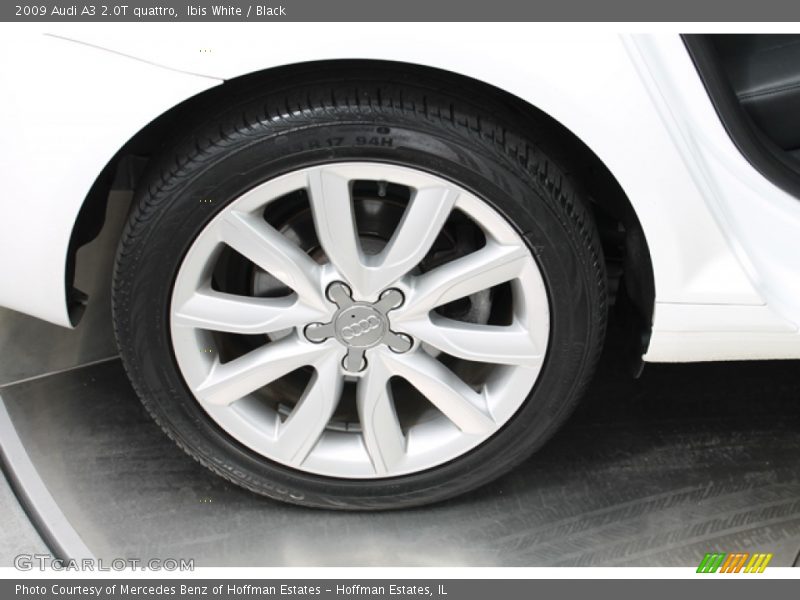 Ibis White / Black 2009 Audi A3 2.0T quattro