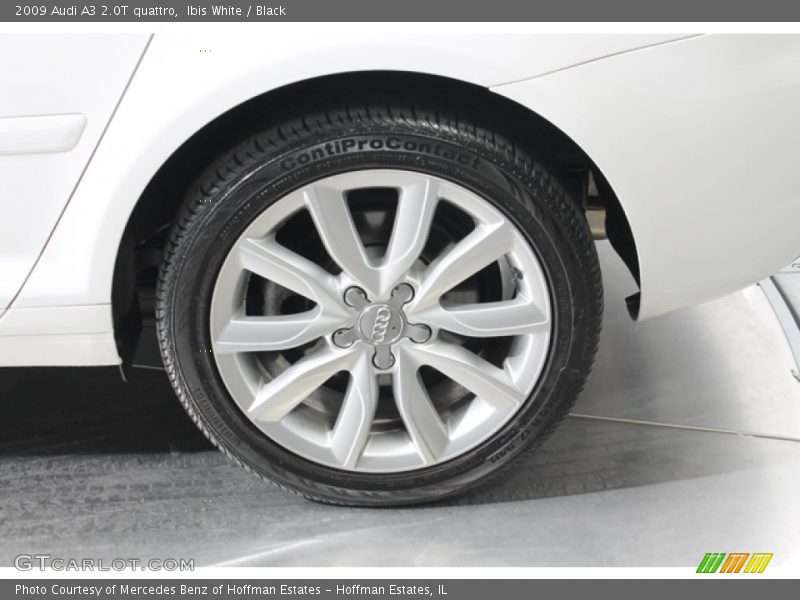 Ibis White / Black 2009 Audi A3 2.0T quattro