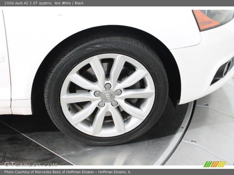Ibis White / Black 2009 Audi A3 2.0T quattro