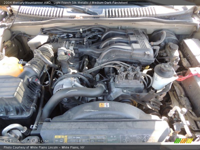 Light French Silk Metallic / Medium Dark Parchment 2004 Mercury Mountaineer AWD