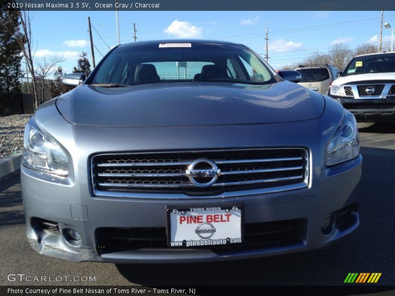 Ocean Gray / Charcoal 2010 Nissan Maxima 3.5 SV