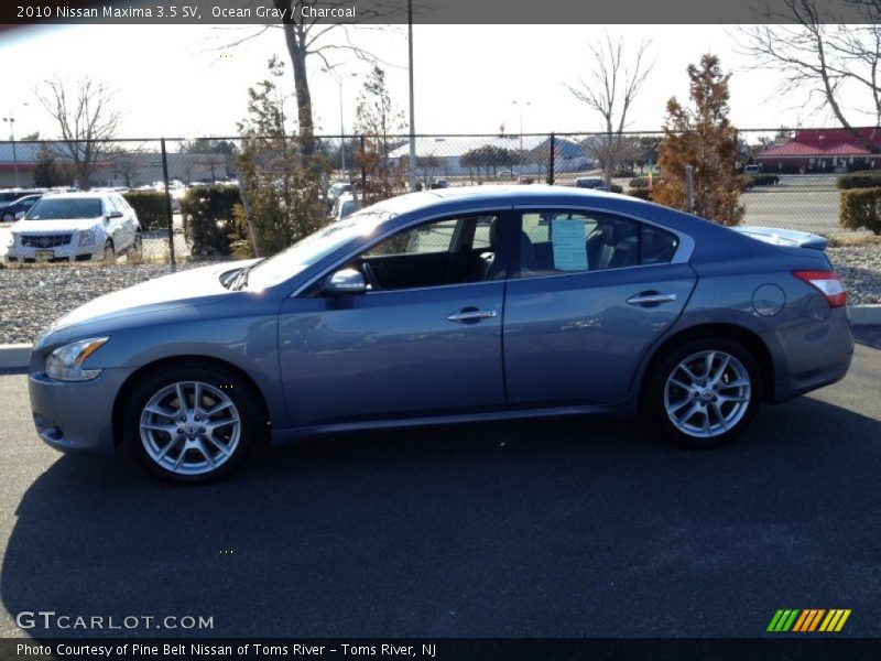 Ocean Gray / Charcoal 2010 Nissan Maxima 3.5 SV