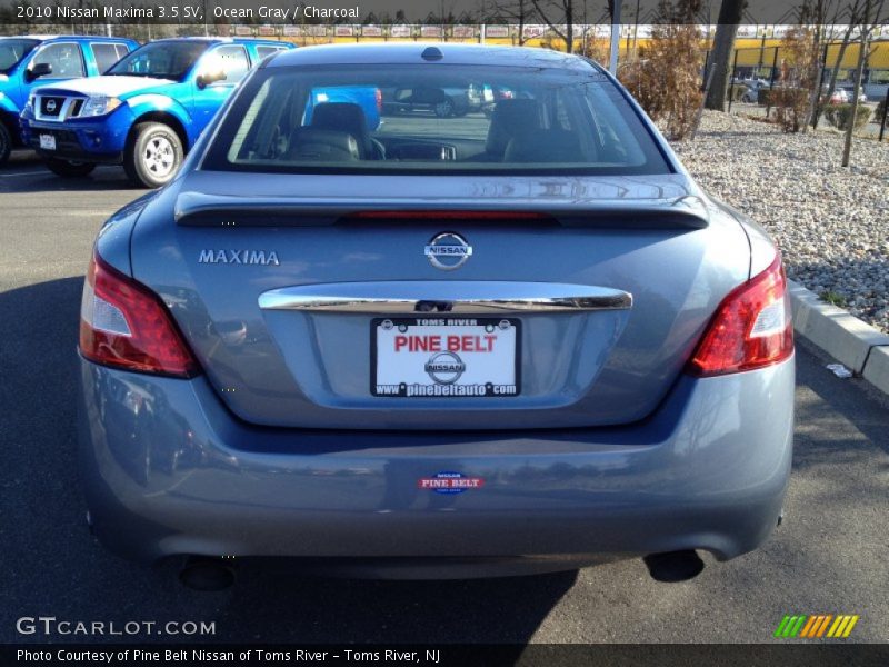 Ocean Gray / Charcoal 2010 Nissan Maxima 3.5 SV