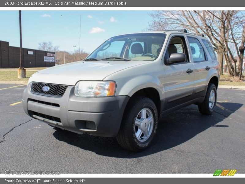 Gold Ash Metallic / Medium Dark Pebble 2003 Ford Escape XLS V6