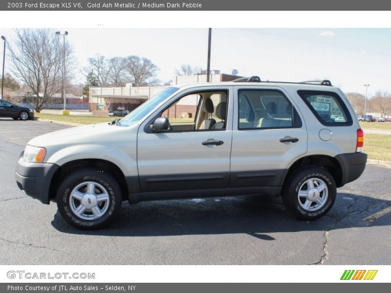Gold Ash Metallic / Medium Dark Pebble 2003 Ford Escape XLS V6