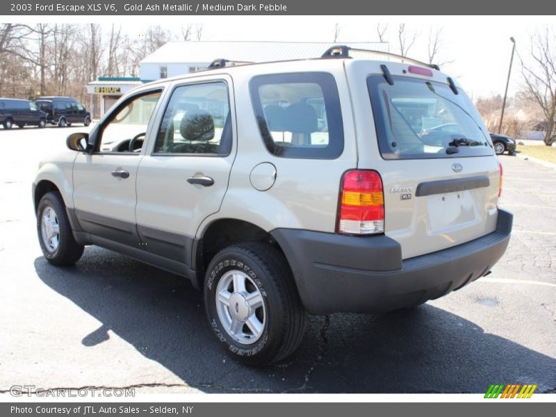 Gold Ash Metallic / Medium Dark Pebble 2003 Ford Escape XLS V6